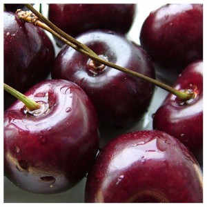Черешня Радица